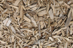 biomass boilers Layerthorpe